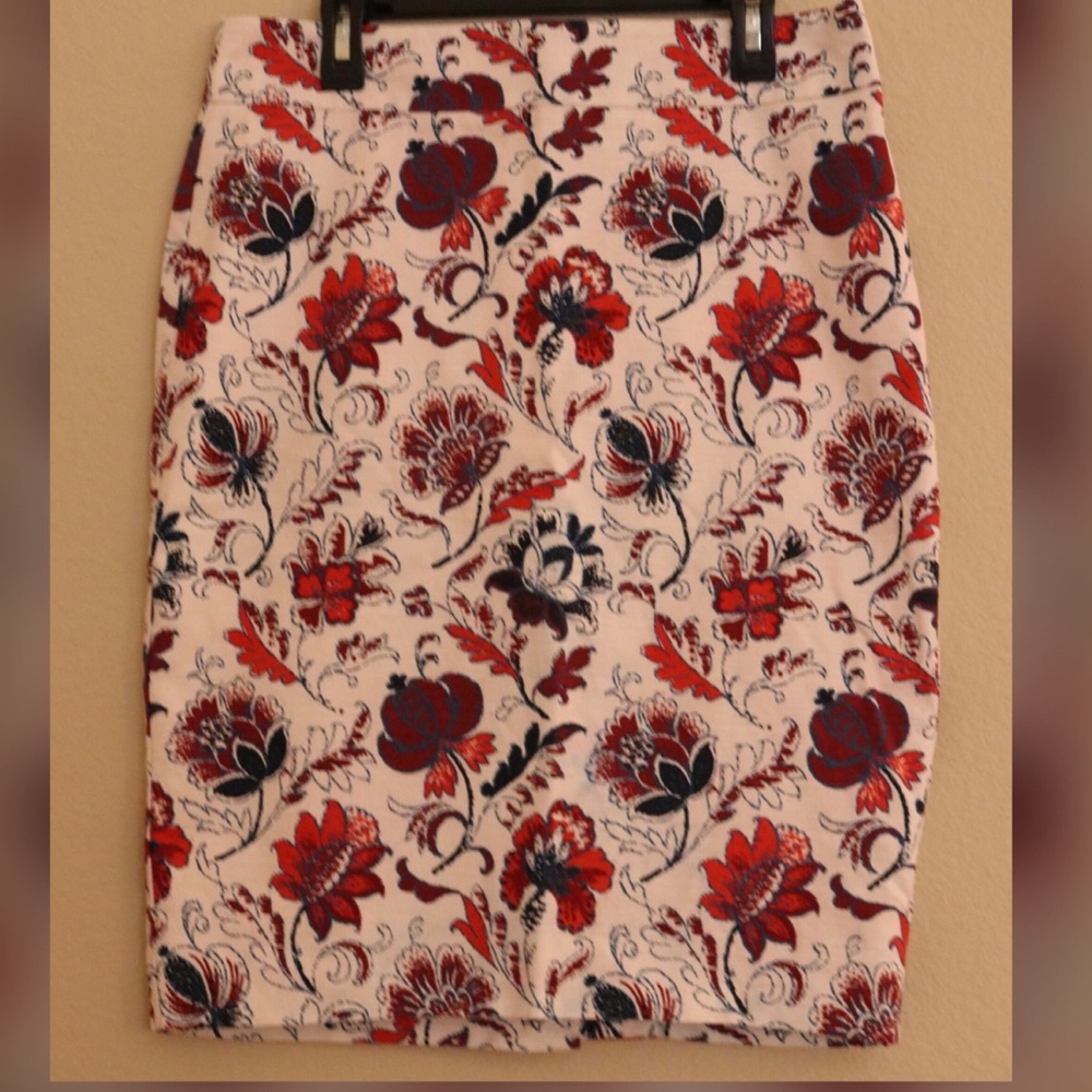Ann Taylor Pencil Skirt